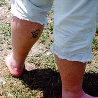 not just another pretty leg